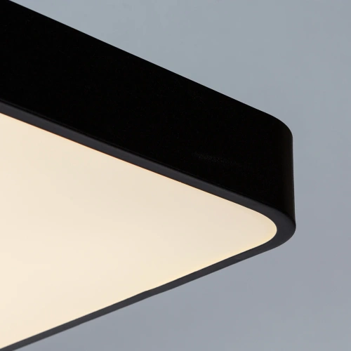 Потолочный светильник Arte Lamp SCENA A2662PL-1BK фото 4