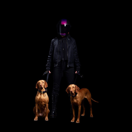 Поводок Dog Lead Brass фото 5