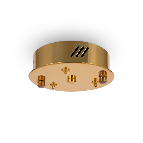 Подвесной светильник Freya FR5257PL-L17G фото 5