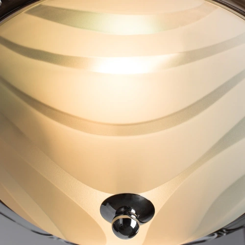 Потолочный светильник Arte Lamp ALTA A3008PL-2CC фото 3 Потолочный светильник Arte Lamp ALTA A3008PL-2CC фото 3