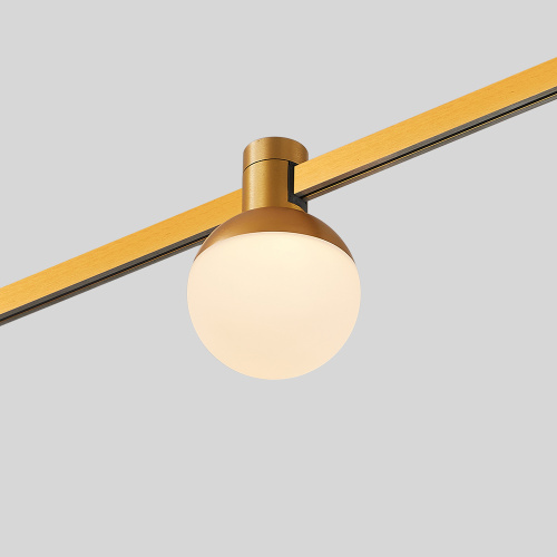 ST815.206.05 Магнитный трековый светильник FARM Золотистый LED 1*5W 3000K 89Lm Ra90 120 IP20 D75xH10 FARM фото 4