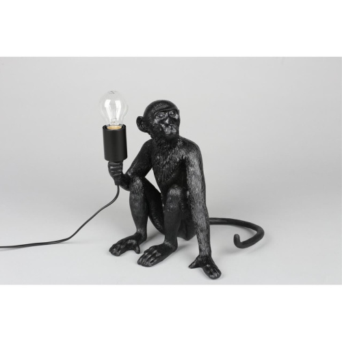 Настольная лампа APL.309.24.01 фото 2 Настольная лампа APL.309.24.01 фото 2