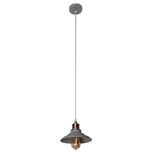 Подвесной светильник Arte Lamp LIDO A5067SP-1GY Подвесной светильник Arte Lamp LIDO A5067SP-1GY