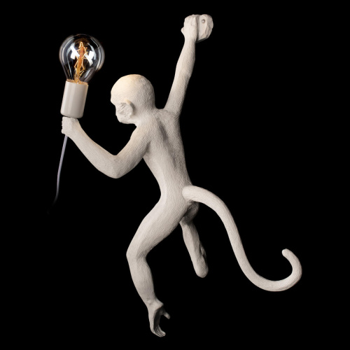 10314W/B Настенный светильник LOFT IT Monkey фото 5