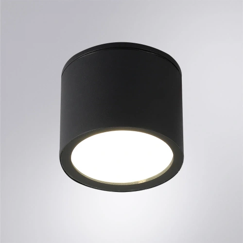 Уличный потолочный светильник Arte Lamp PIAUTOS A1913PF-1BK фото 2 Уличный потолочный светильник Arte Lamp PIAUTOS A1913PF-1BK фото 2