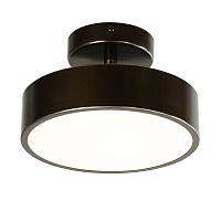 Потолочный светильник Favourite 3060-2P Atma