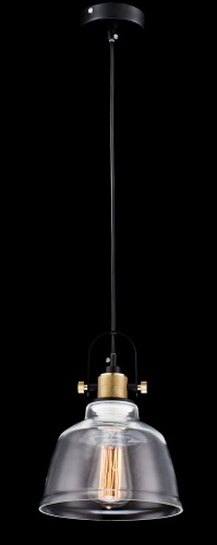 Подвесной светильник Maytoni T163-11-W фото 5 Подвесной светильник Maytoni T163-11-W фото 5