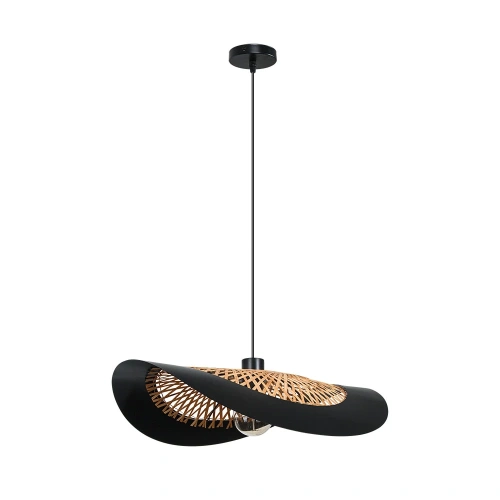 Подвесной светильник Arte Lamp WOODSTOCK A7059SP-1BK