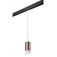 Комплект с трековым светильником Lightstar Rullo (214430+595857+202431) PRORP43031