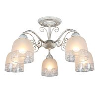 Люстра потолочная OML-54907-05