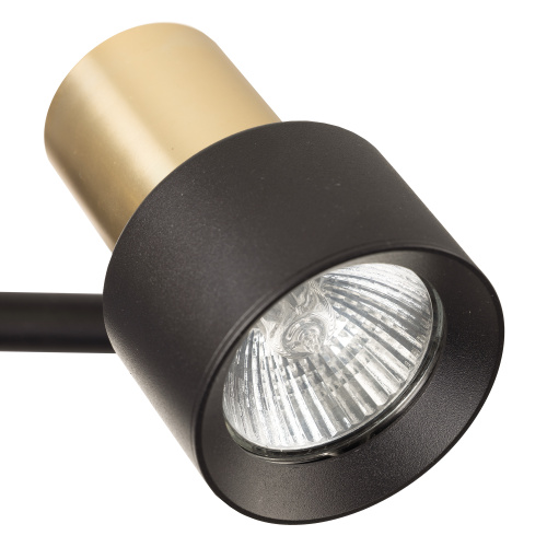 Citilux SAT CL505621 Спот поворотный с выключателем Чёрный+Золото фото 9 Citilux SAT CL505621 Спот поворотный с выключателем Чёрный+Золото фото 9