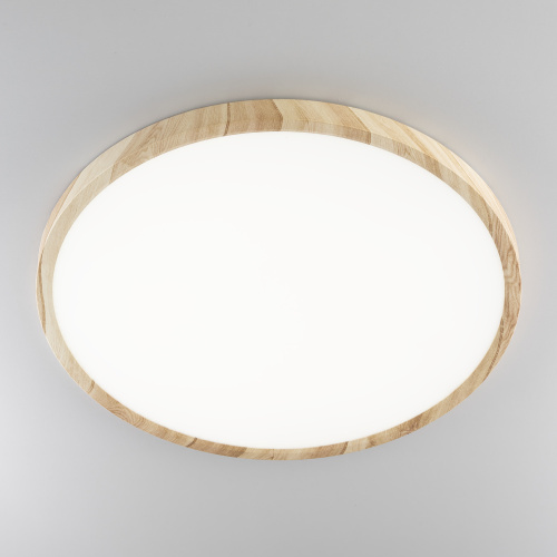 Citilux БейсикCL738322V LED Светильник накладной Клён фото 4 Citilux БейсикCL738322V LED Светильник накладной Клён фото 4