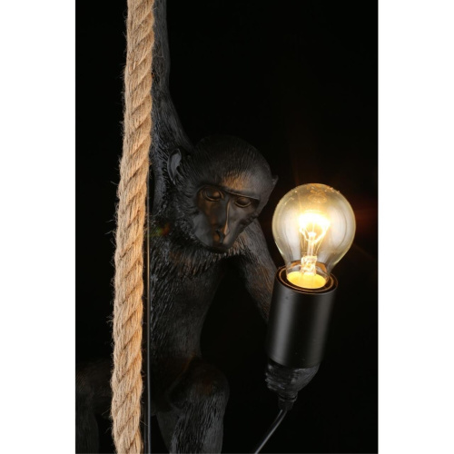 Светильник подвесной APL.309.16.01 фото 13 Светильник подвесной APL.309.16.01 фото 13