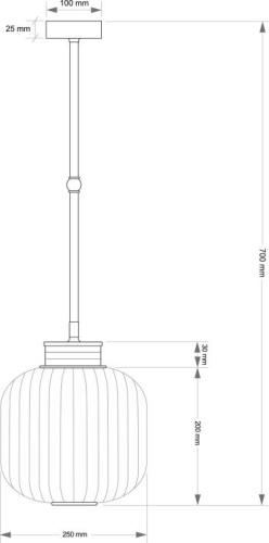 Подвесной светильник KUTEK ALBA ALB-ZW-1(P)250 фото 3