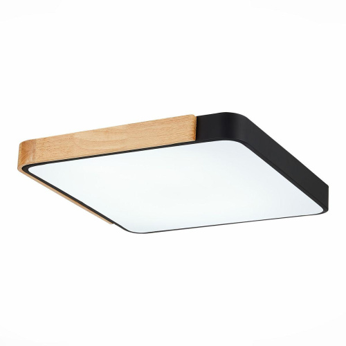 Потолочный сетодиодный светильник Evoluce Festa SLE201242-01 фото 4