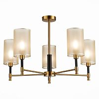 Потолочная люстра Evoluce Granze SLE300302-05