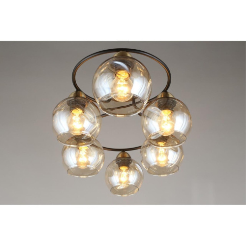 Люстра потолочная OML-95007-06 фото 13