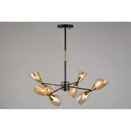 Люстра потолочная OML-66807-08 фото 8 Люстра потолочная OML-66807-08 фото 8