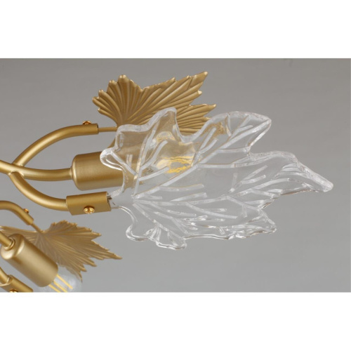 Люстра потолочная OML-52707-06 фото 4 Люстра потолочная OML-52707-06 фото 4