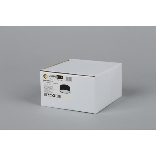 Светильник встраиваемый-накладной OML-100919-12 фото 2