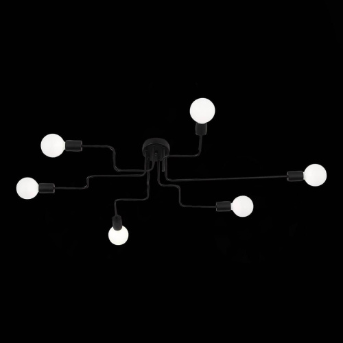 Потолочная люстра Evoluce Ano SL419.442.06 фото 9