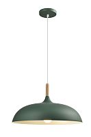 Светильник подвесной Moderli V11453-1P Hygo