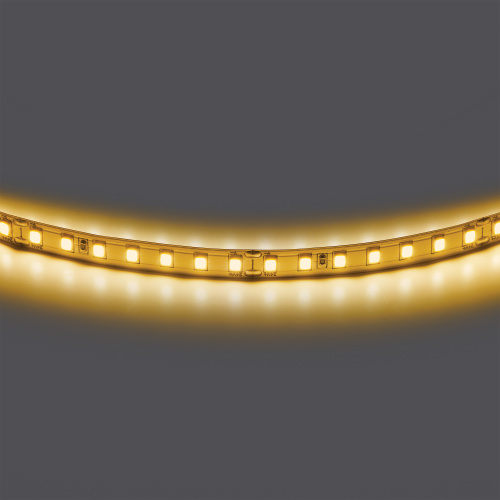 420843 Лента двухсторонняя LIGHTSTAR LED 24V 12W 360G 5m/roll 3000K 420843 Лента двухсторонняя LIGHTSTAR LED 24V 12W 360G 5m/roll 3000K