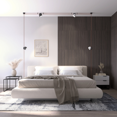 DK5542-BK Поворотный светильник для трека-ремня Belty, серия Spot, со светодиодом, D100*H107мм, 48V DC, 12W, RA90, 120°, 4000K, IP20, черный, алюминий фото 7