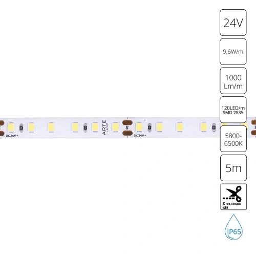 Светодиодная лента 24V 9,6W/m 6000К 5м Arte Lamp AQUA TAPE A2412008-06-6K Светодиодная лента 24V 9,6W/m 6000К 5м Arte Lamp AQUA TAPE A2412008-06-6K