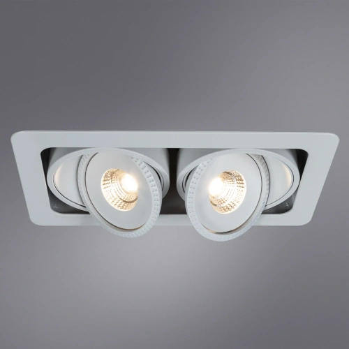 Карданный светильник Arte Lamp STUDIO A3007PL-2WH фото 2
