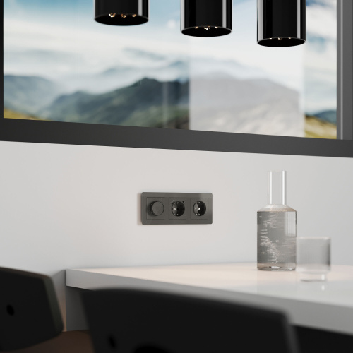 Диммер (графит акрил) W1142044 фото 2