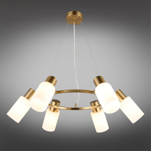 Люстра подвесная OML-69103-06 фото 10 Люстра подвесная OML-69103-06 фото 10