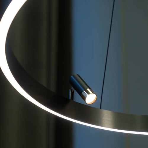 Подвесная люстра Arte Lamp CESARE A1993SP-30BK фото 3