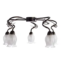 Потолочная люстра Arte Lamp GLAMORE A7449PL-5BR