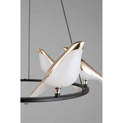 Люстра подвесная APL.822.03.60 фото 14 Люстра подвесная APL.822.03.60 фото 14