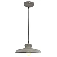 Подвесной светильник Arte Lamp LOFT A5025SP-1BG