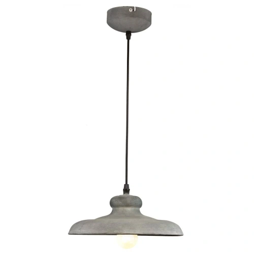 Подвесной светильник Arte Lamp LOFT A5025SP-1BG Подвесной светильник Arte Lamp LOFT A5025SP-1BG