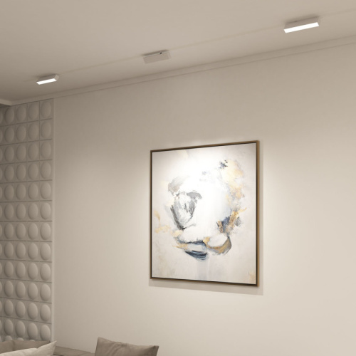 Светильник на шине Denkirs SMART LINEAR | СМАРТ ЛИНЕАР DK8009-WH фото 4 Светильник на шине Denkirs SMART LINEAR | СМАРТ ЛИНЕАР DK8009-WH фото 4