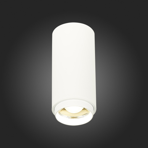 ST600.542.10 Светильник потолочный Zoom Белый LED 1*10W 4000K 1 000Lm Ra>80 15-60° IP20 D59xH130 170 Накладные светильники фото 6