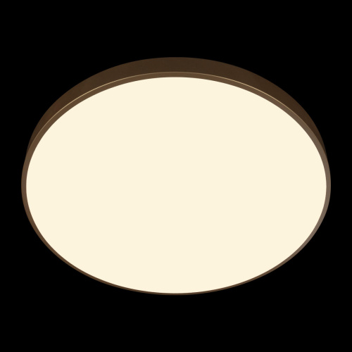 10228/B Потолочный светильник LOFT IT Flims фото 6 10228/B Потолочный светильник LOFT IT Flims фото 6