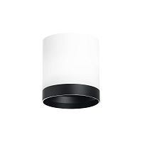 Комплект с потолочным светильником Lightstar Rullo (213486+203487) R34863487