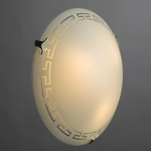 Потолочный светильник Arte Lamp ANTICA A4220PL-3CC фото 2