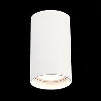 ST157.532.20 Светильник потолочный Белый LED 1*20W 3000K 1 600Lm Ra>90 60° IP44 D95xH150 220-265V Накладные светильники