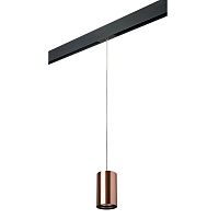 Комплект с трековым светильником Lightstar Rullo (214430+595857) PRORP430