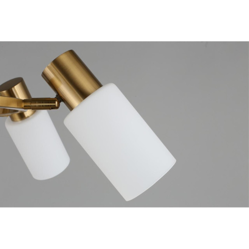 Люстра подвесная OML-69103-06 фото 3 Люстра подвесная OML-69103-06 фото 3