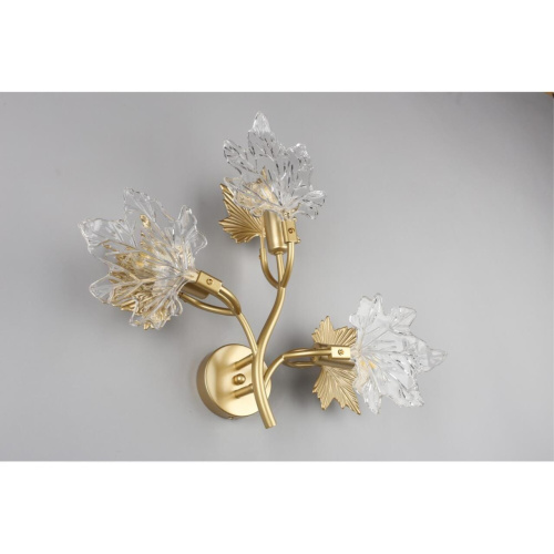 Светильник настенный (Бра) OML-52701-03 фото 6 Светильник настенный (Бра) OML-52701-03 фото 6