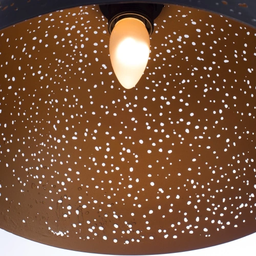 Подвесной светильник Arte Lamp BUCHINO A1630SP-1BK фото 3