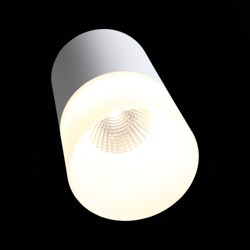 ST100.502.10 Светильник потолочный Белый LED 1*10W 3000K 780Lm Ra>80 120° D78xH135 170-240V Накладные светильники фото 4