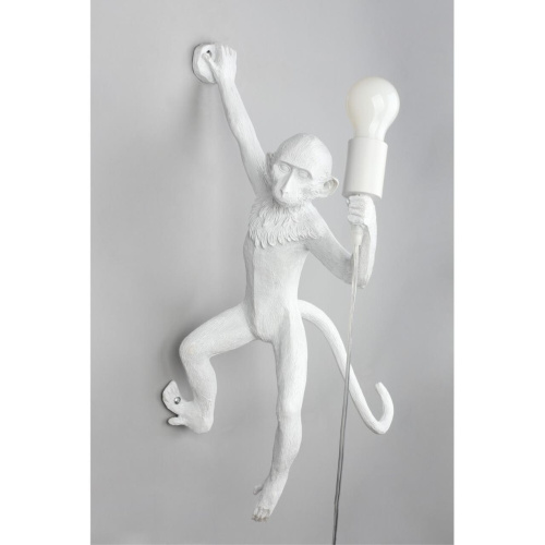 Светильник настенный (Бра) APL.309.11.01 фото 3 Светильник настенный (Бра) APL.309.11.01 фото 3