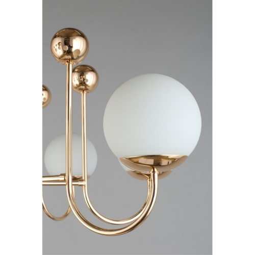 Люстра потолочная OML-67007-08 фото 8 Люстра потолочная OML-67007-08 фото 8